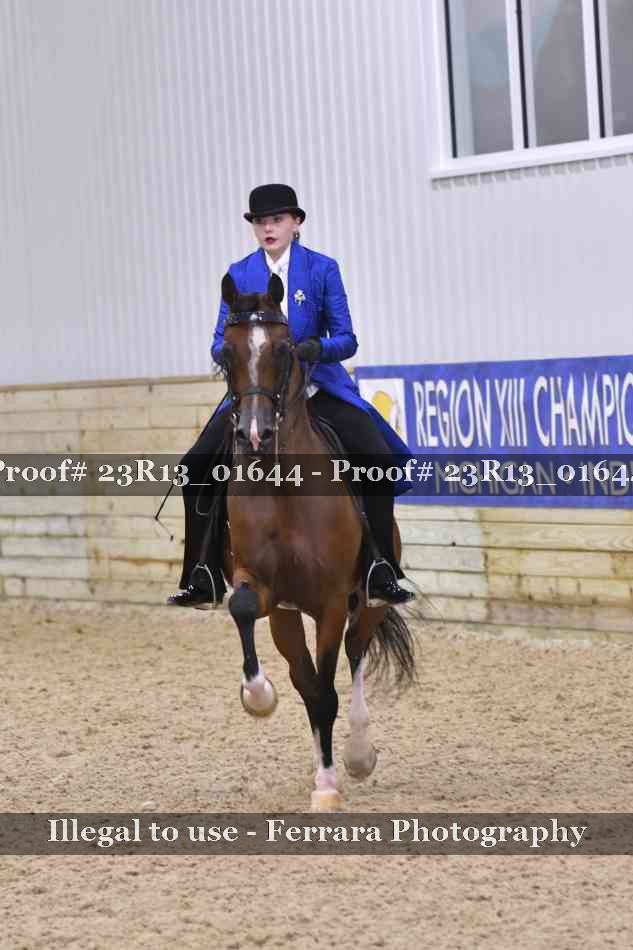 Proof 23R13_01644