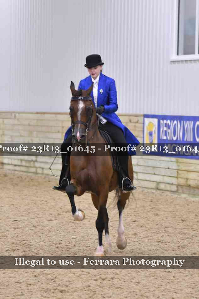 Proof 23R13_01645