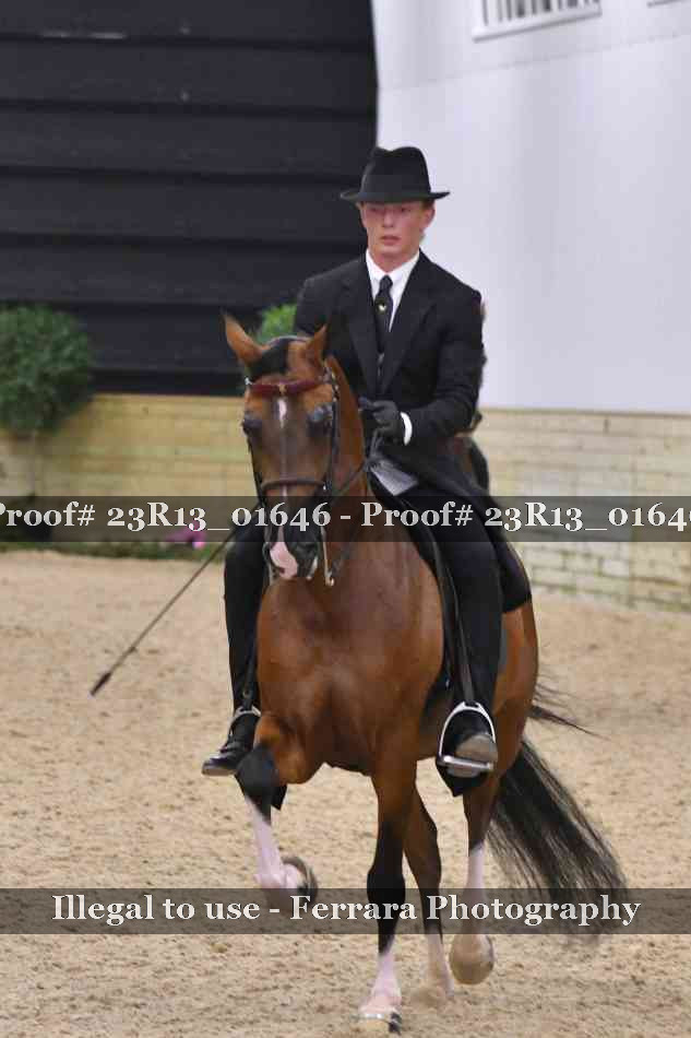 Proof 23R13_01646
