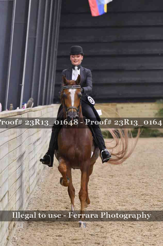 Proof 23R13_01648
