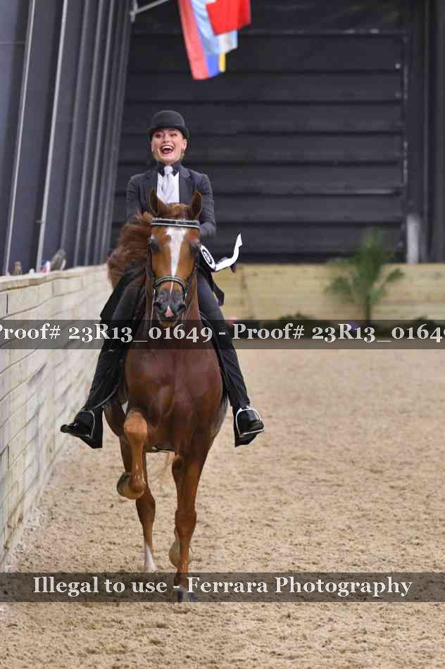 Proof 23R13_01649