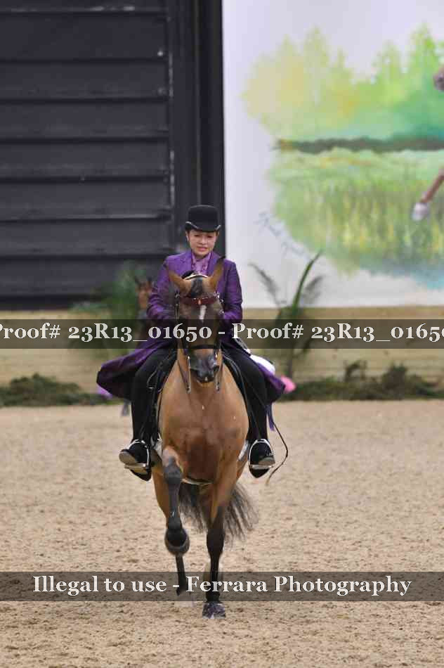 Proof 23R13_01650