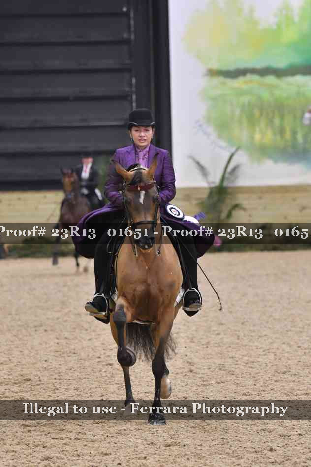 Proof 23R13_01651