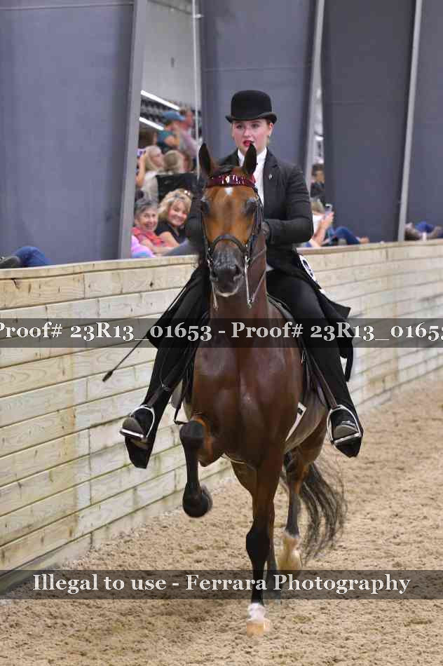 Proof 23R13_01653