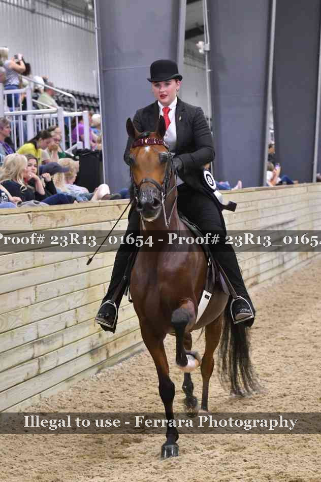 Proof 23R13_01654