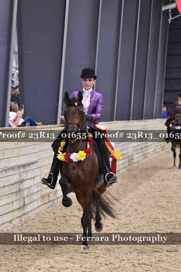 Proof 23R13_01655