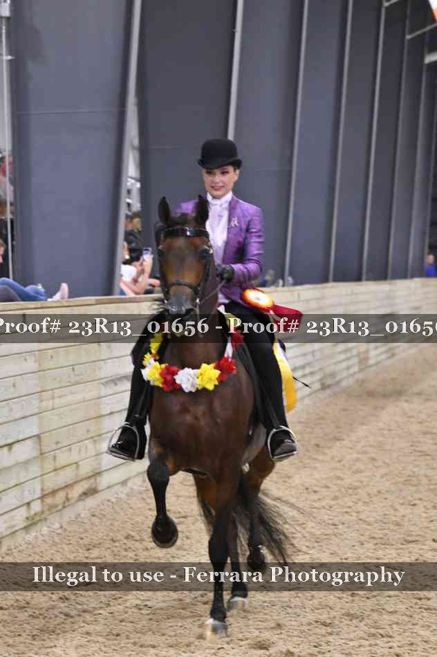 Proof 23R13_01656