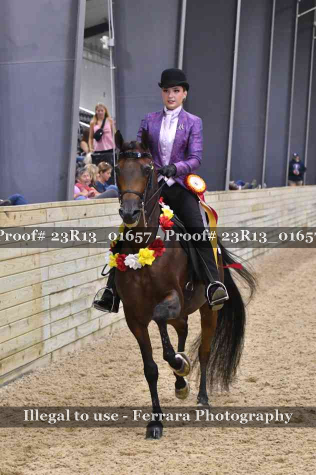 Proof 23R13_01657