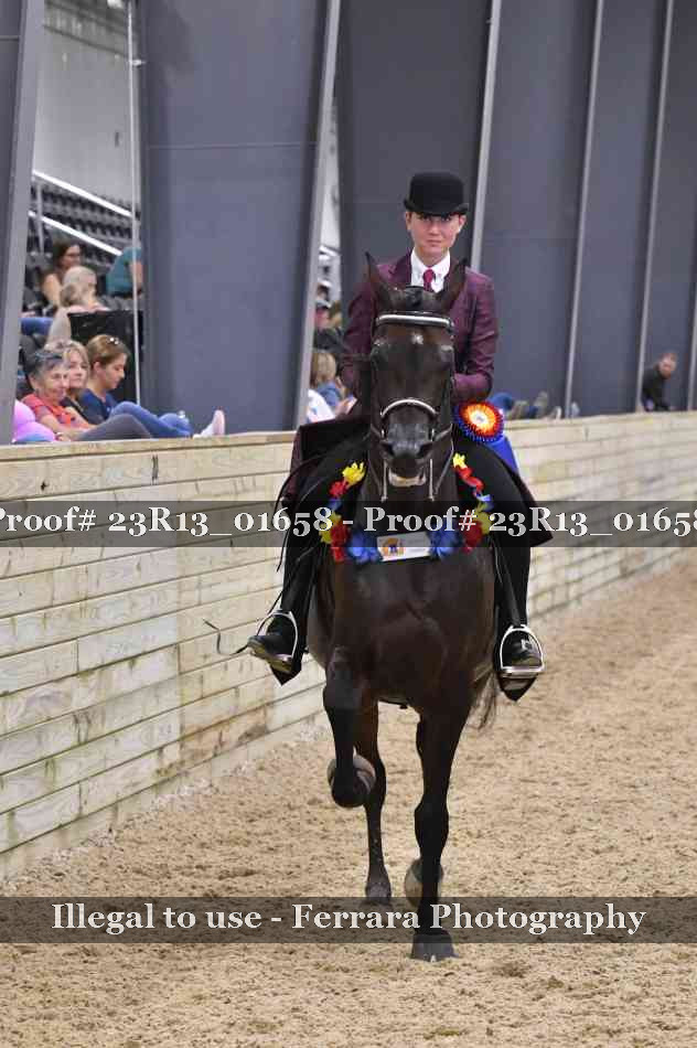 Proof 23R13_01658