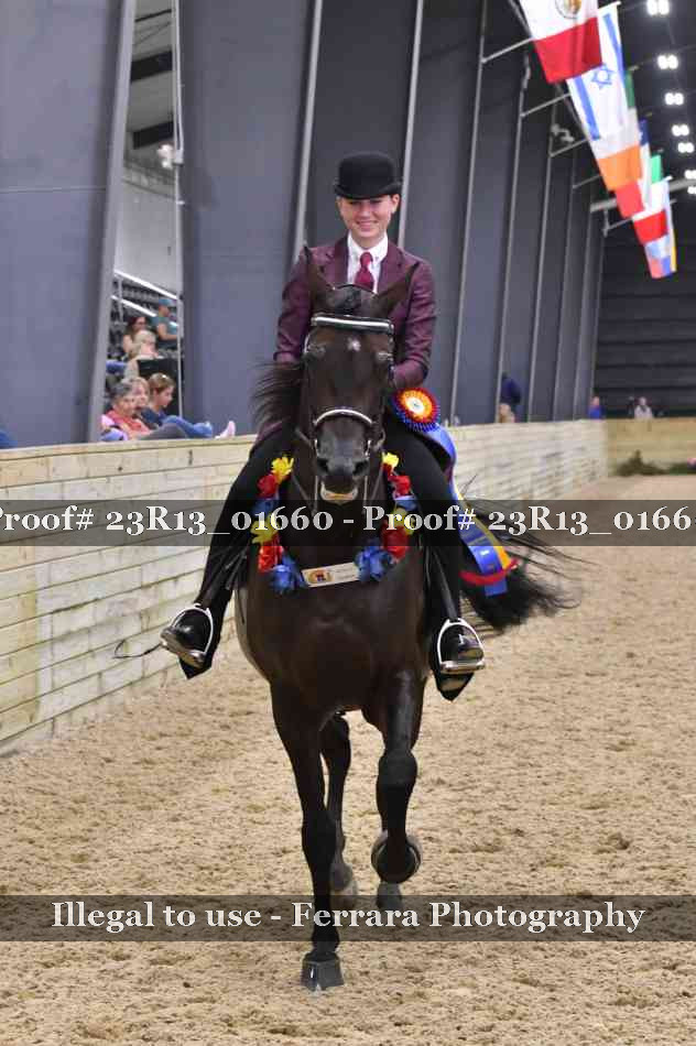 Proof 23R13_01660