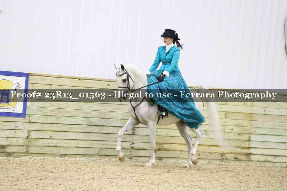 Proof 23R13_01563