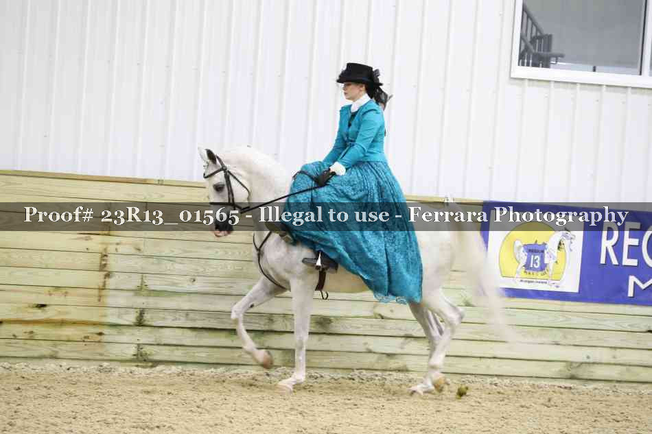 Proof 23R13_01565
