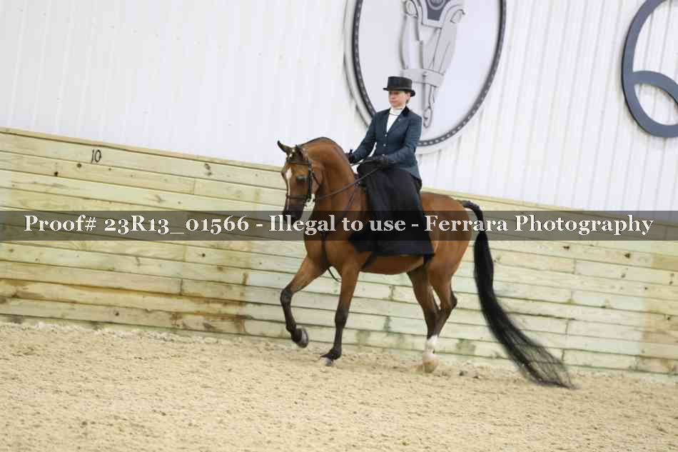 Proof 23R13_01566