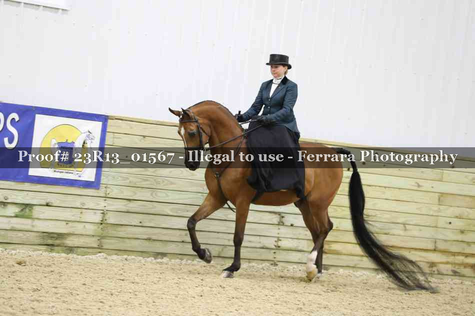 Proof 23R13_01567