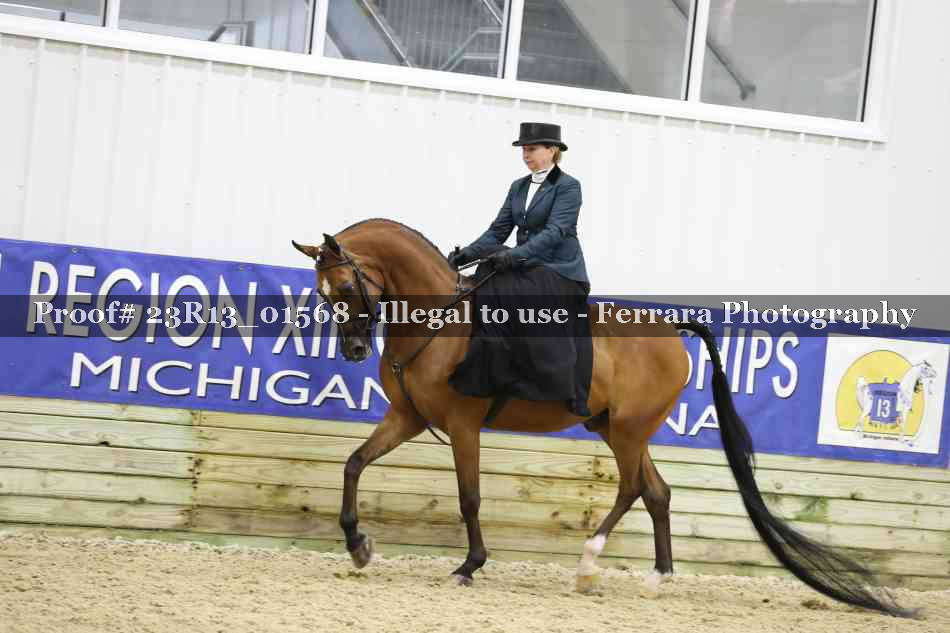 Proof 23R13_01568