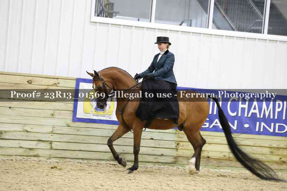 Proof 23R13_01569