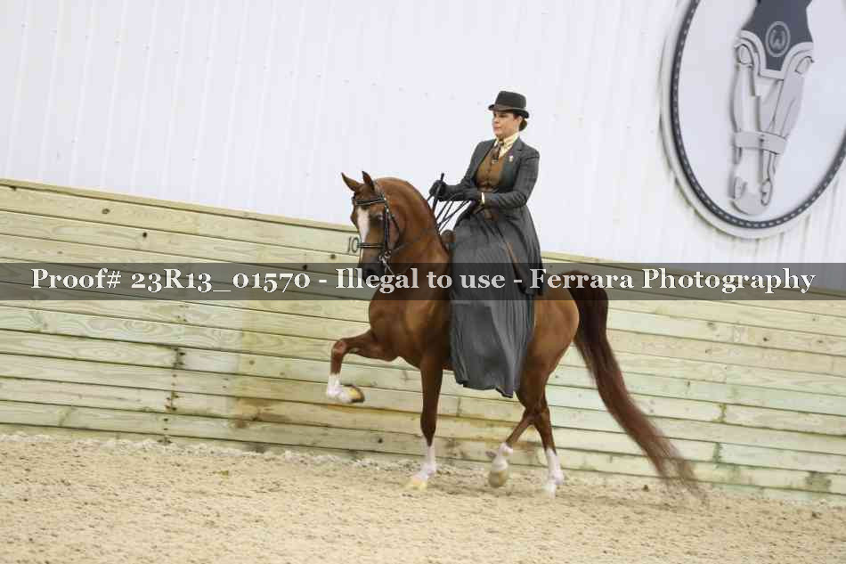 Proof 23R13_01570
