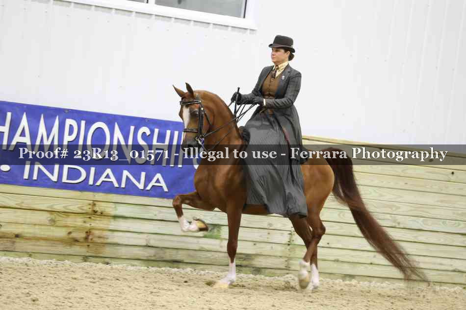 Proof 23R13_01571