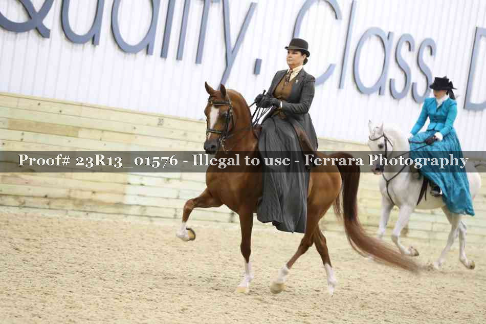 Proof 23R13_01576
