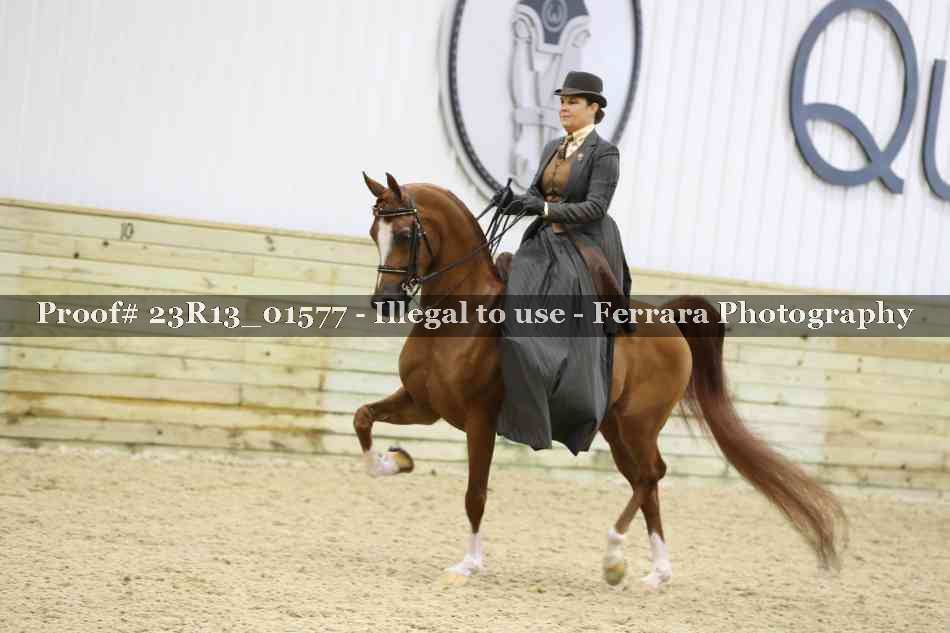 Proof 23R13_01577