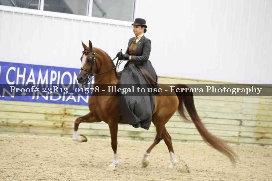 Proof 23R13_01578
