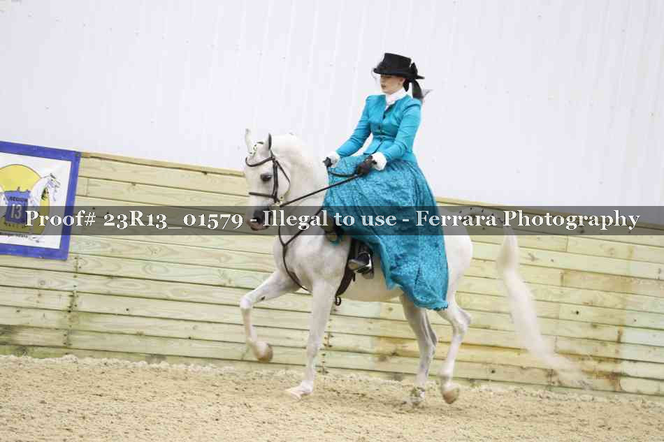 Proof 23R13_01579