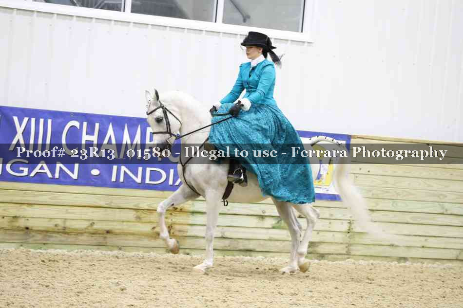 Proof 23R13_01580
