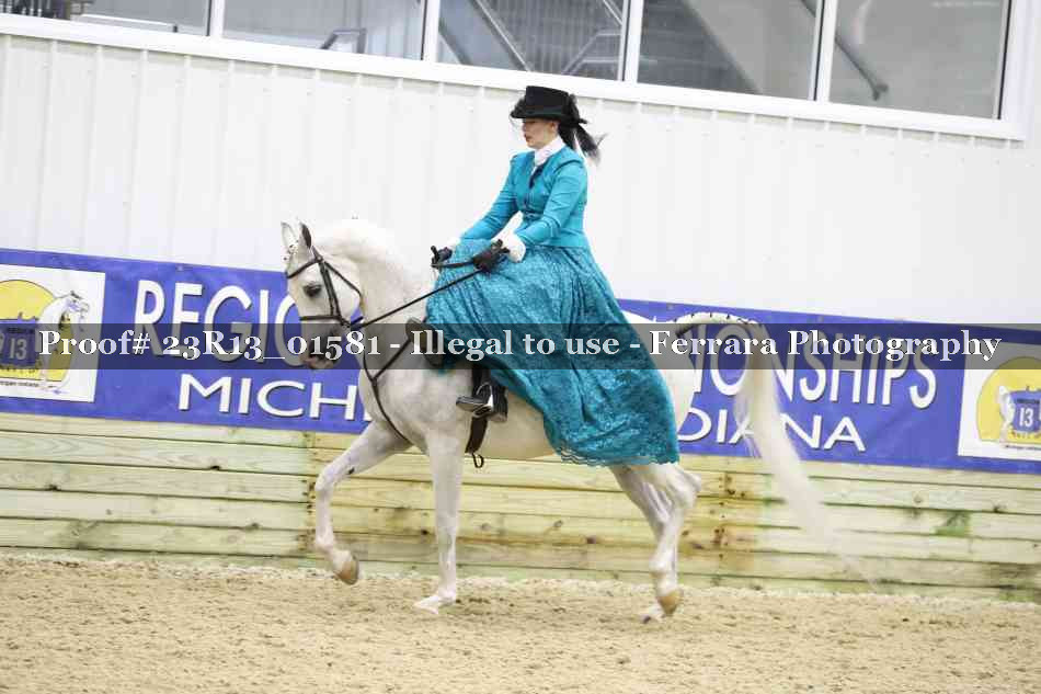Proof 23R13_01581
