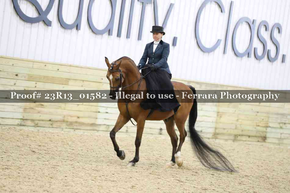 Proof 23R13_01582