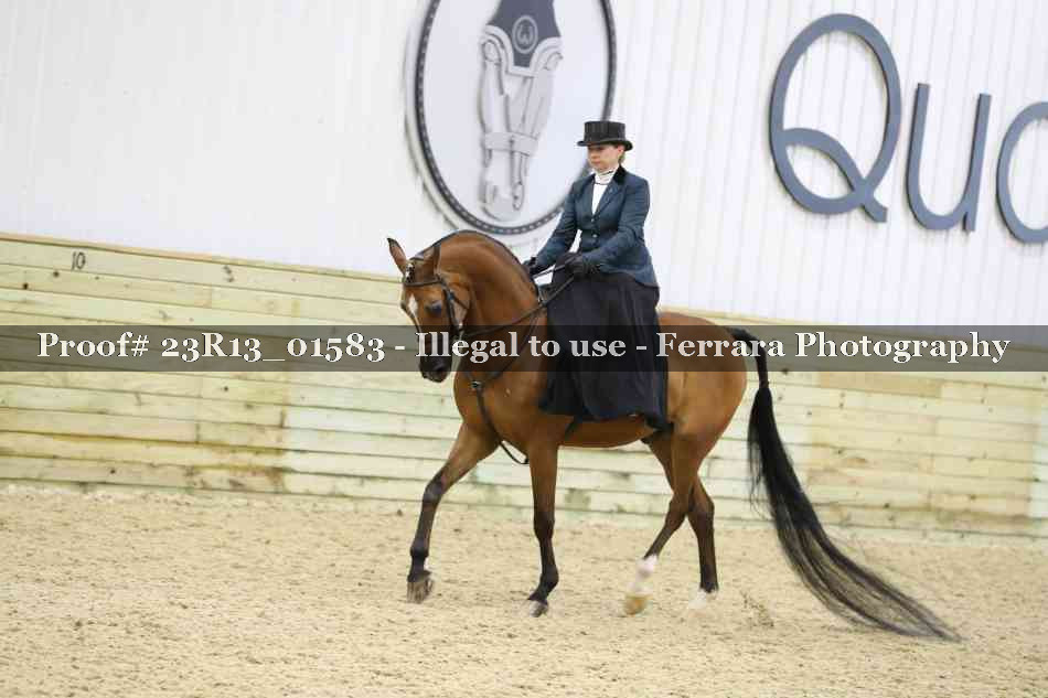 Proof 23R13_01583
