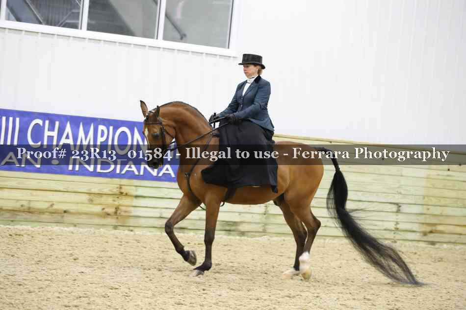 Proof 23R13_01584