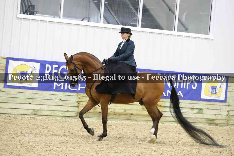 Proof 23R13_01585