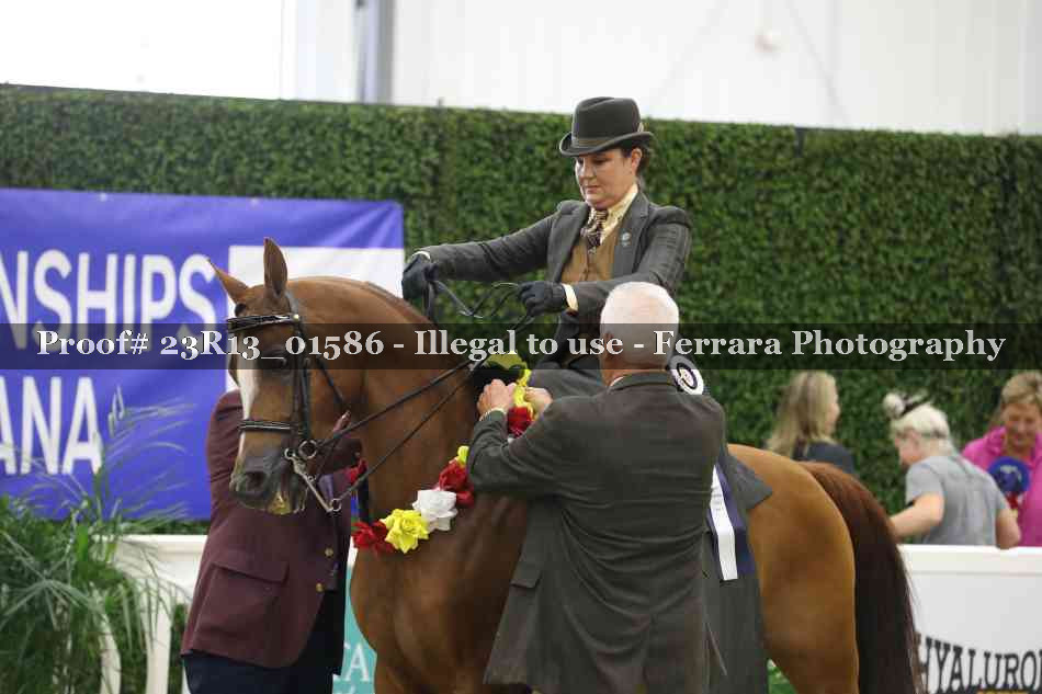 Proof 23R13_01586