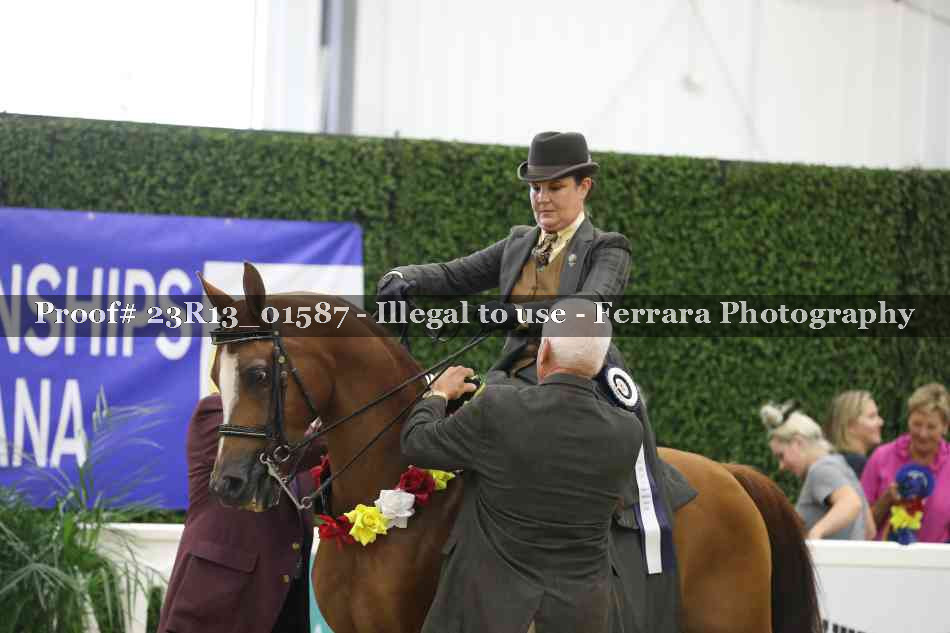 Proof 23R13_01587