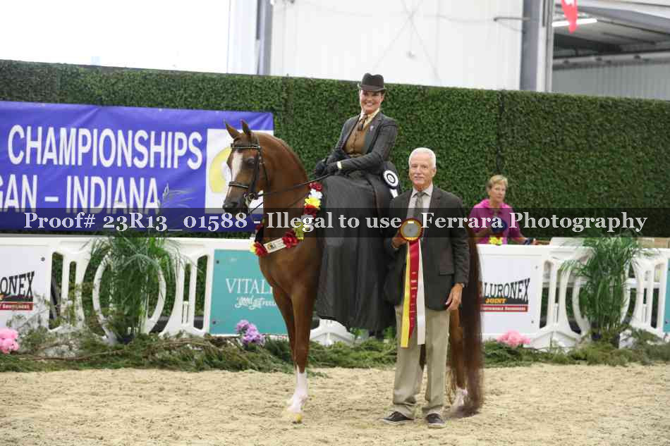 Proof 23R13_01588