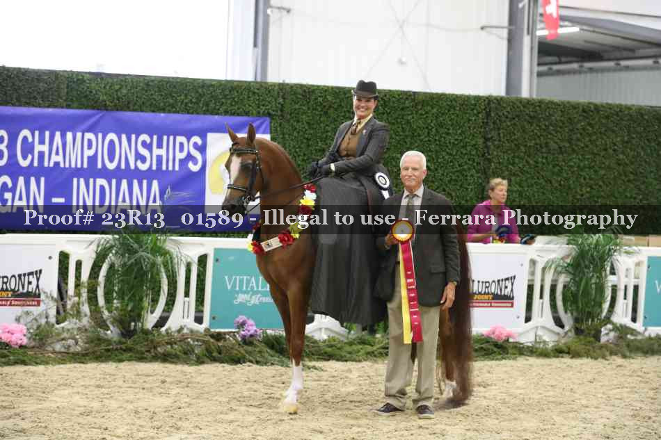 Proof 23R13_01589