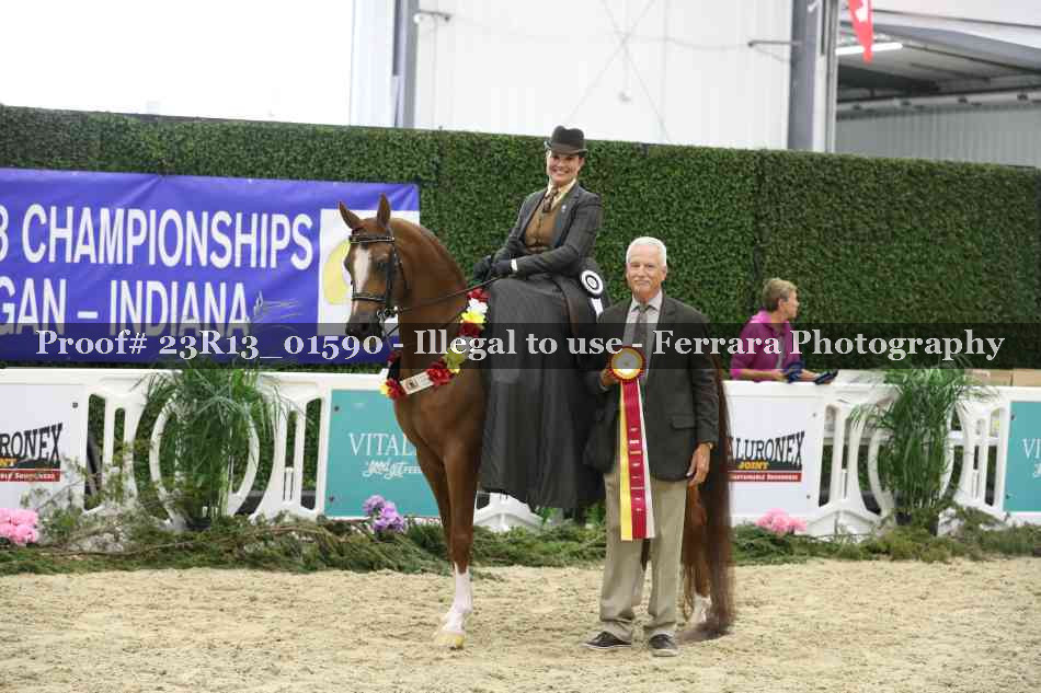 Proof 23R13_01590