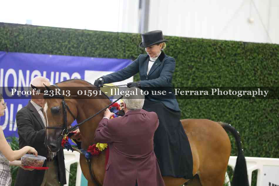 Proof 23R13_01591