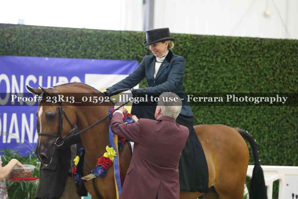 Proof 23R13_01592