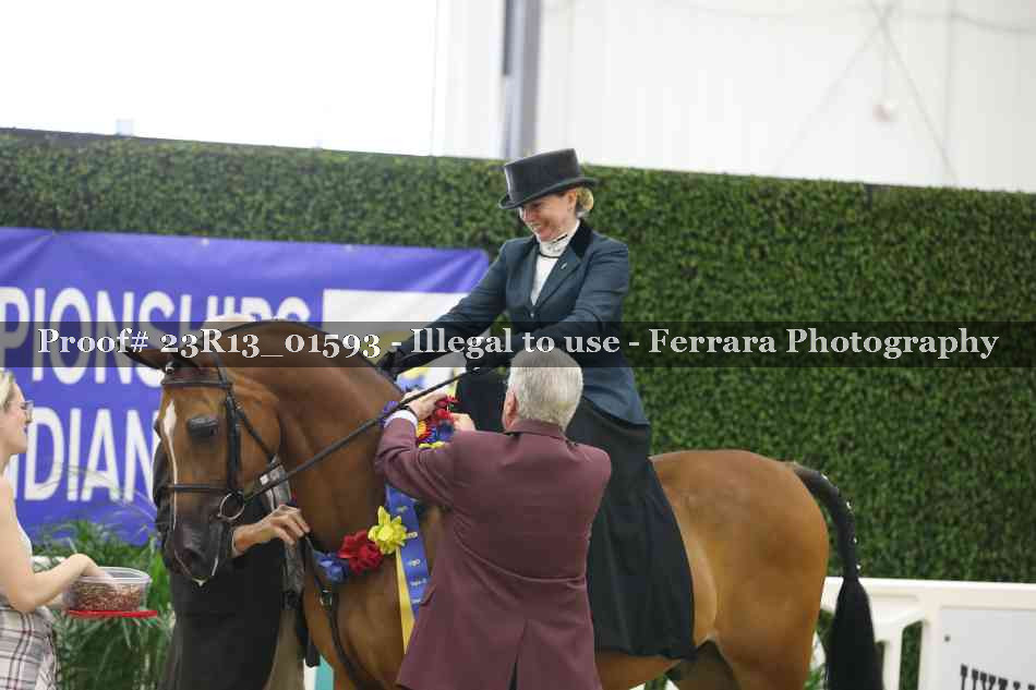 Proof 23R13_01593