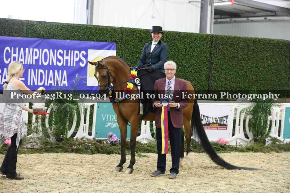 Proof 23R13_01594