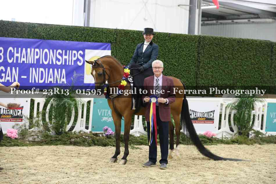 Proof 23R13_01595