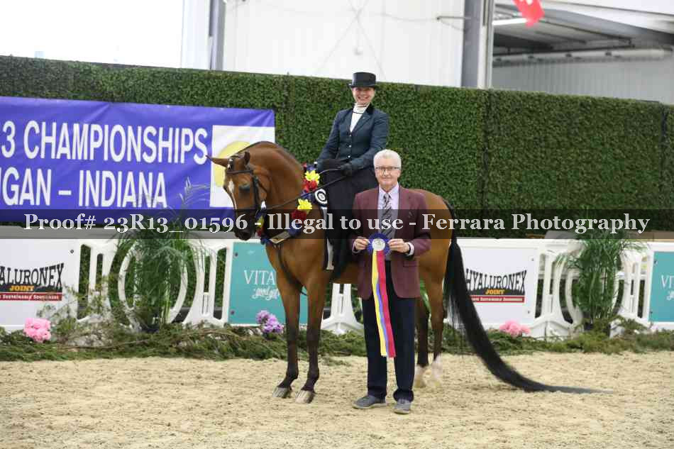 Proof 23R13_01596