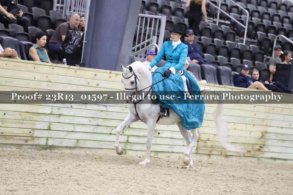 Proof 23R13_01597