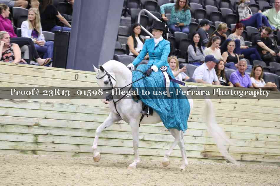 Proof 23R13_01598