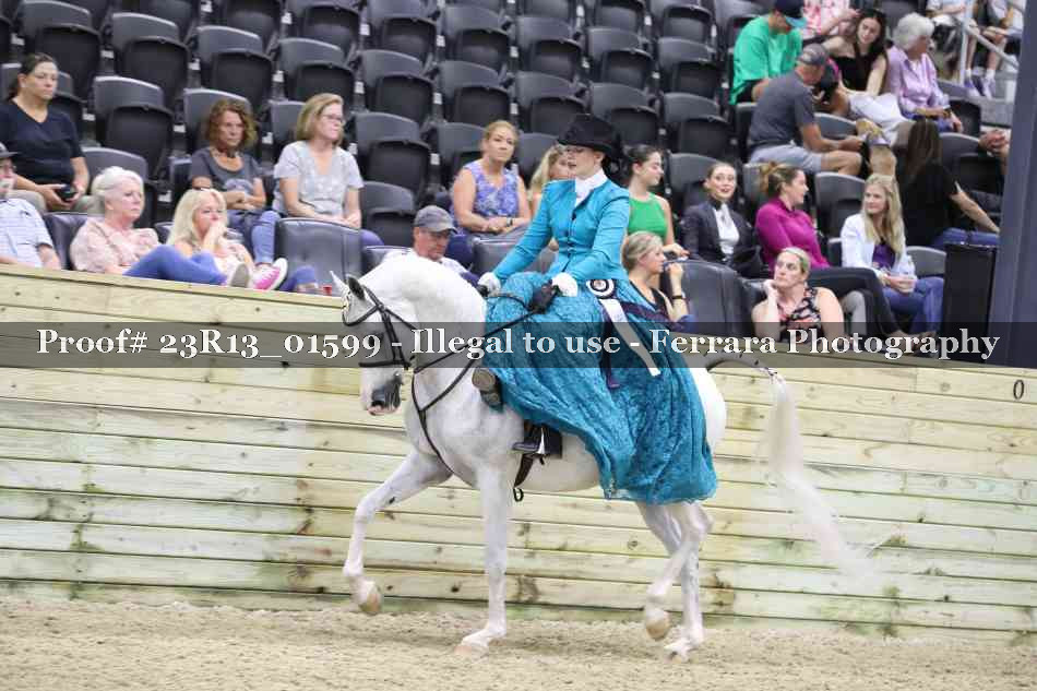 Proof 23R13_01599