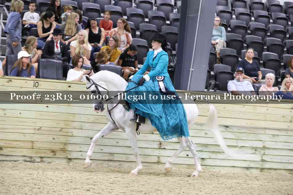 Proof 23R13_01600
