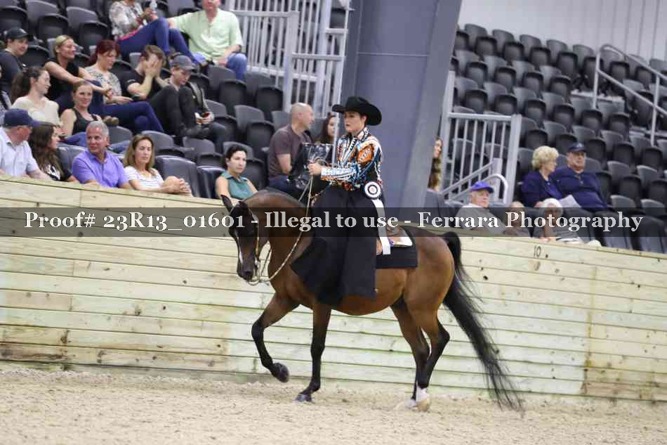 Proof 23R13_01601