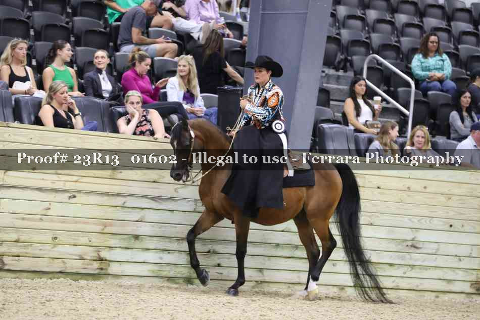Proof 23R13_01602