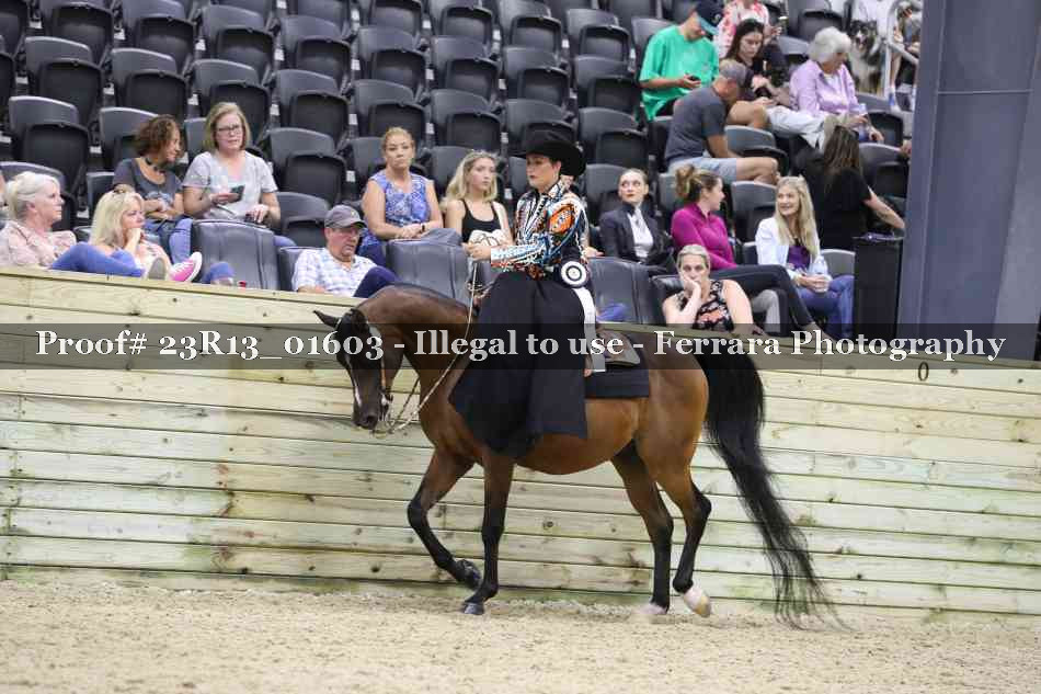 Proof 23R13_01603